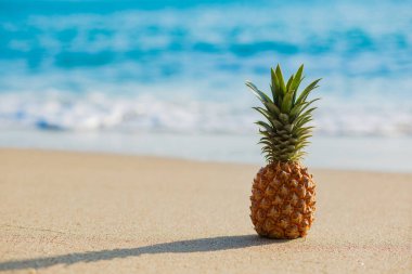Yazın kumlu sahilde ananaslar bulanık okyanus arka planında