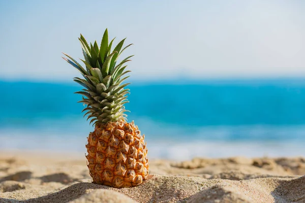 夏天在沙滩上的菠萝在朦胧的大海背景下 — 图库照片#