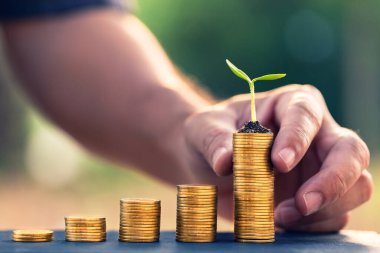 İnsan elleri, emeklilik fonu kavramını topluyor. Açık havada küçük bir ağaç, bulanık doğa arkaplanı var..