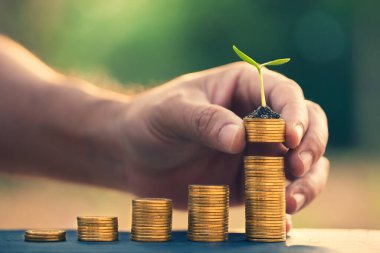 İnsan elleri, emeklilik fonu kavramını topluyor. Açık havada küçük bir ağaç, bulanık doğa arkaplanı var..