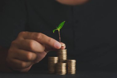 Resmi kavramsallaştır, gelecek için para biriktirme siyah arkaplanda