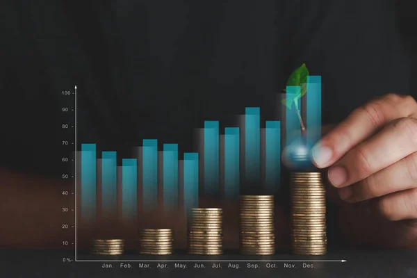 Concetto Aziendale Grafico Crescita Degli Investimenti Moneta — Foto Stock