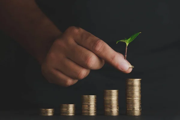 Moedas Conceito Negócio Mudas Moedas Conceito Investir Para Fins Lucrativos — Fotografia de Stock