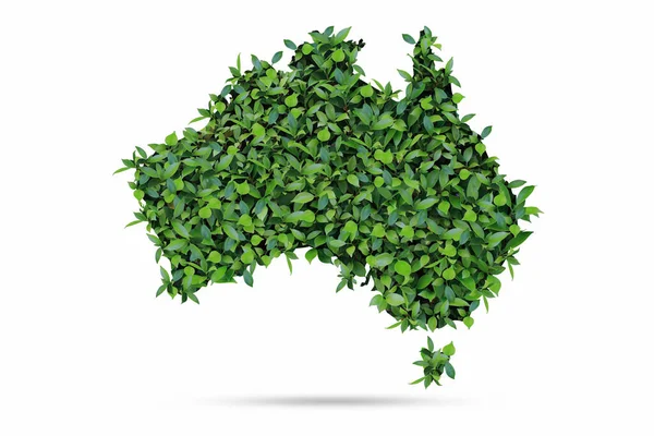 Лист Австралії Ізольований Білому Тлі Відсікання Шляху World Environment Концепт — стокове фото