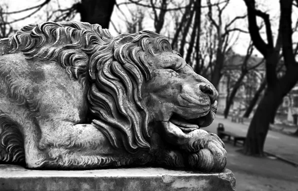 León de piedra — Foto de Stock