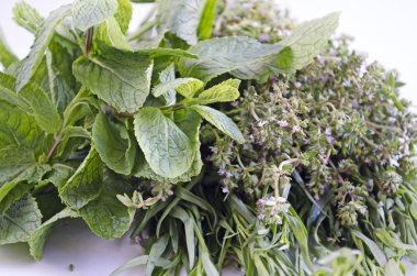 Beyaz arka plan üzerinde izole taze otlar