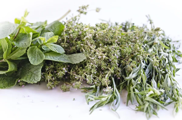 Beyaz arka plan üzerinde izole taze otlar