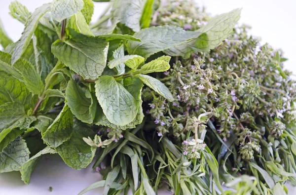 Beyaz arka plan üzerinde izole taze otlar