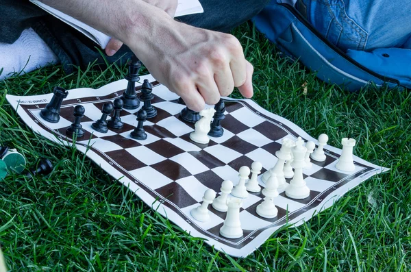 Pocket Shess allein auf Gras spielen — Stockfoto