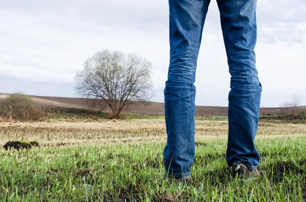 El hombre está de pie en el campo quemado con algunos restos de hierba verde y árbol solitario en él. Fondo de naturaleza . — Foto de Stock