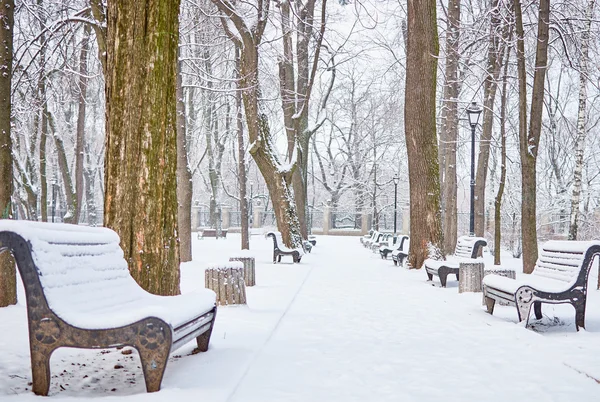Karla kaplı ağaçlar ve şehir Park banklar.