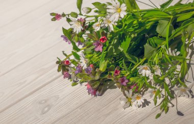 Beyaz arka plan bahar çiçekleri ile