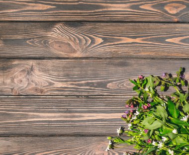 Arka plan ahşap ahşap arka plan üzerinde kır çiçekleri. Trinity bayram için tasarım Kartpostalı