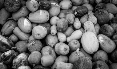 Rustik doku. Siyah ve beyaz kabak