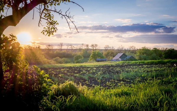 Paisaje rural armonioso al atardecer —  Fotos de Stock