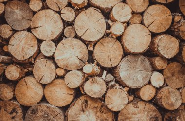 Yazlık Isıtma şömine için odun tedarik