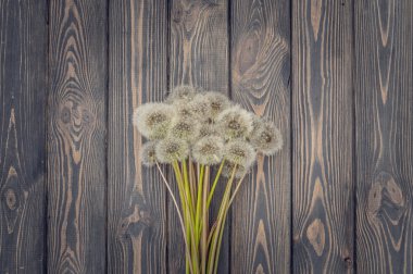 Hava dandelions ve yaşlı ahşap buket