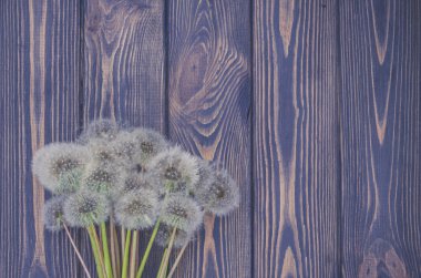 Rustik bir stil tasarlayın. Dandelions ve yaşlı ahşap