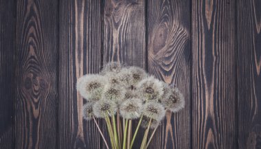 Yaz rustik kartpostal. Dandelions ve koyu renk ahşap