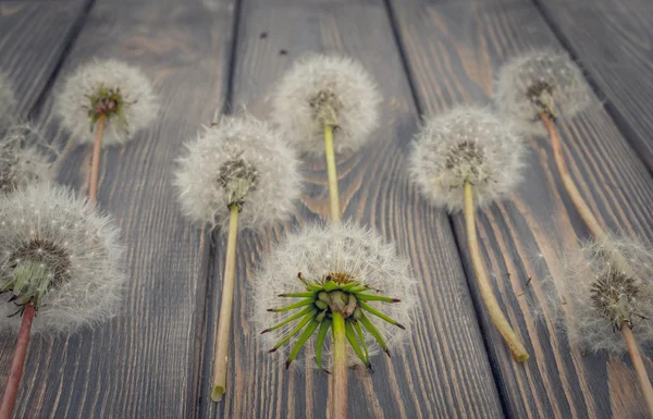 Wildblumen und altes Holz. Postkarte im rustikalen Stil — Stockfoto