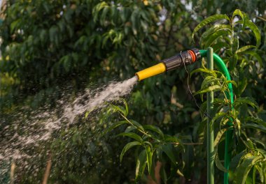 Sulama için bahçe hortumu