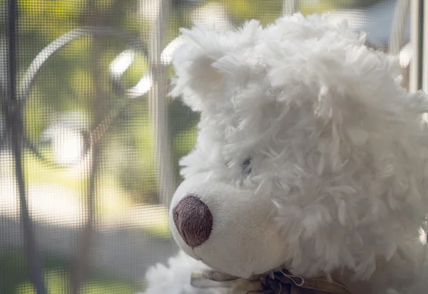 Oso de peluche mirando por la ventana — Foto de Stock