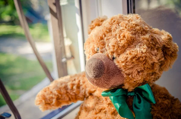 Teddybär wartet auf das Herrchen — Stockfoto