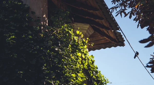 Мальовничі горищі старовинними італійськими будинку — стокове фото