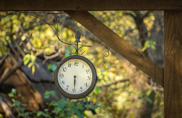 Vintage Orologio Strada Rotondo Uno Sfondo Fogliame Verde Autunno Cultura — Foto Stock