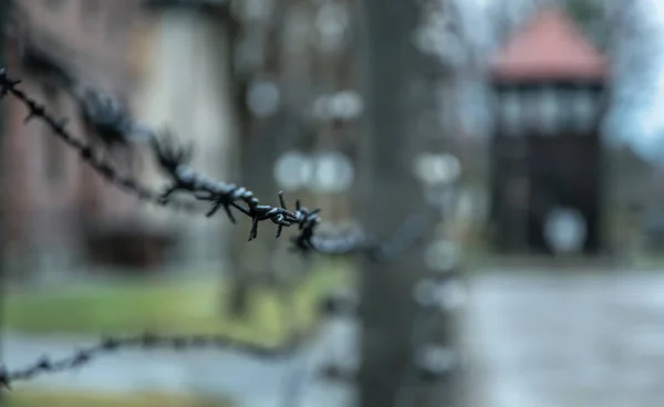 Auschwitz Pologne Novembre 2019 Camp Concentration Camp Mort Auschwitz Birkenau — Photo