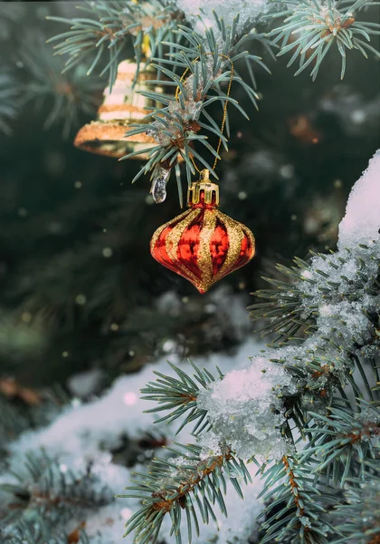 Décorations Noël Sur Branches Épinette Enneigées — Photo