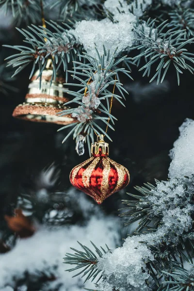 Dekoracje Świąteczne Gałęziach Świerkowych Pokrytych Śniegiem — Zdjęcie stockowe