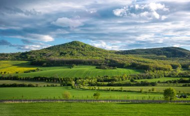 İlkbaharda Avrupa 'da eko-izm. Saksonya, Dresden, Almanya 'daki güzel, taze kırsal alan. Yağmurlu bir gökyüzünün zeminine karşı tarlalar ekildi ve ekildi. Pastoral cennet manzarası