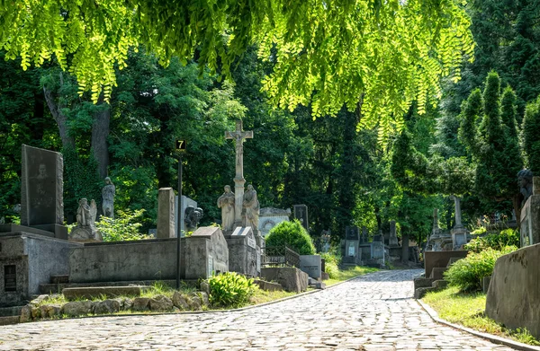 Lviv Ukraine Juli 2019 Der Altgotische Lytschakiw Friedhof Lviv Ukraine — Stockfoto