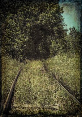 Gizemli orman manzarası ve terk edilmiş demiryolu. New England doğası, ABD