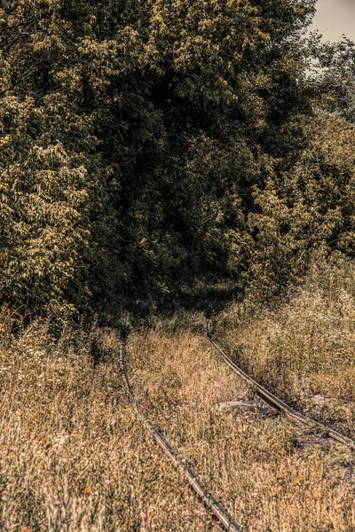 Misterioso Paisaje Forestal Misterioso Ferrocarril Abandonado Naturaleza Nueva Inglaterra — Foto de Stock