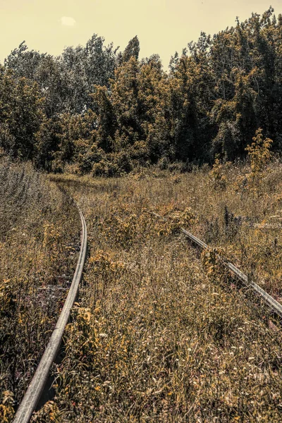 Mlhavá Tajemná Lesní Krajina Opuštěná Železnice Nature New England Usa — Stock fotografie