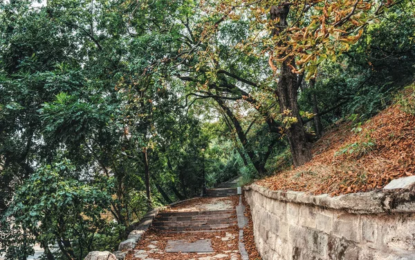 Malerischer Herbstlicher Gotischer Park Budapest Ungarn — Stockfoto