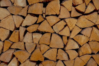 Yıpranmış odun odunlarının dokusu