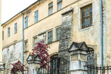 Gotik bir Katolik manastırının antik duvarları ve çiçek açan bir sakura ağacı.