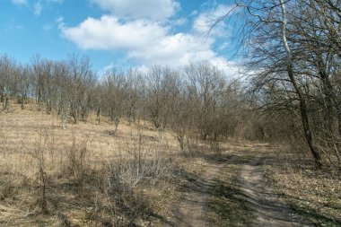  Açık mavi gökyüzü ve ağaçlık tepeler. Baharın başındaki manzara