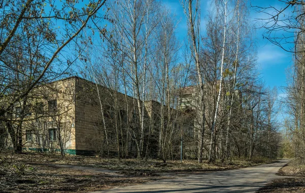 Straße Der Verlassenen Geisterstadt Pripjat Überwucherte Bäume Und Einstürzende Häuser — Stockfoto