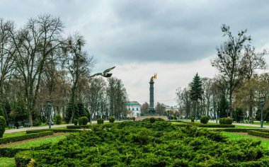 Poltava, Ukrayna - 14 Nisan 2021: Ukrayna 'nın ulusal bayrakları ve şehir parkının yeşil çiçek tarlaları, Poltava, Ukrayna' daki Korpusny Park. Popüler tarihi turizm simgesi