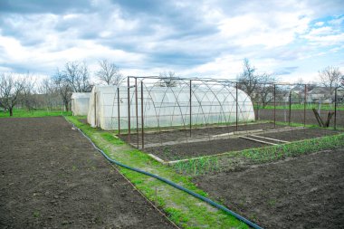 Yeşillik ve sebze fidanlarıyla eski köy serası