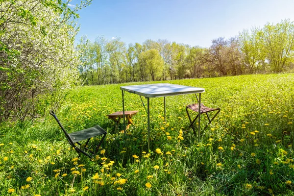 Picknicktisch Und Stühle Auf Einer Sonnigen Wiese — Stockfoto