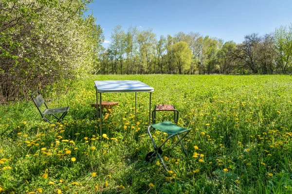 Picnic table and chairs on a sunny meadow
