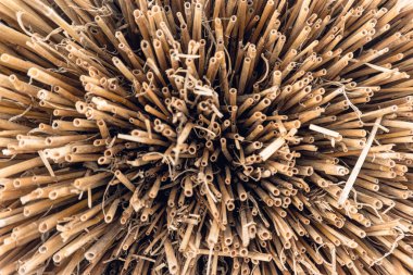 Kuru saman. Doğal çimen dokusu 