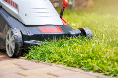 Çim biçme makinesi, biçilmiş çimlerin önünde.