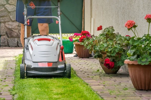 Lawn Mower Front Mown Green Lawn — Stock Photo, Image