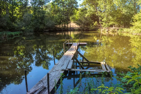 Summer Forest Lake Tarry Wooden Pier — Stock Photo, Image